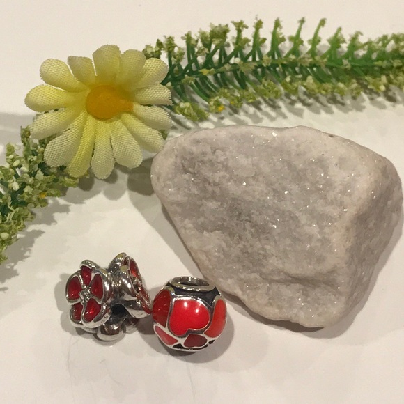 2 Pandora Charms - Picture 3 of 3